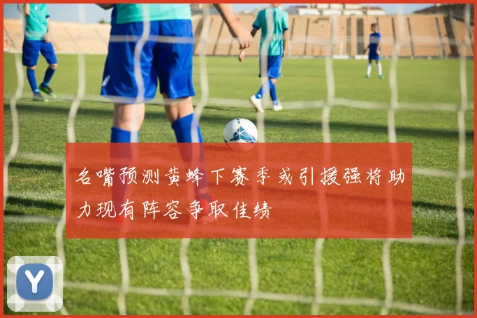 名嘴预测黄蜂下赛季或引援强将助力现有阵容争取佳绩
