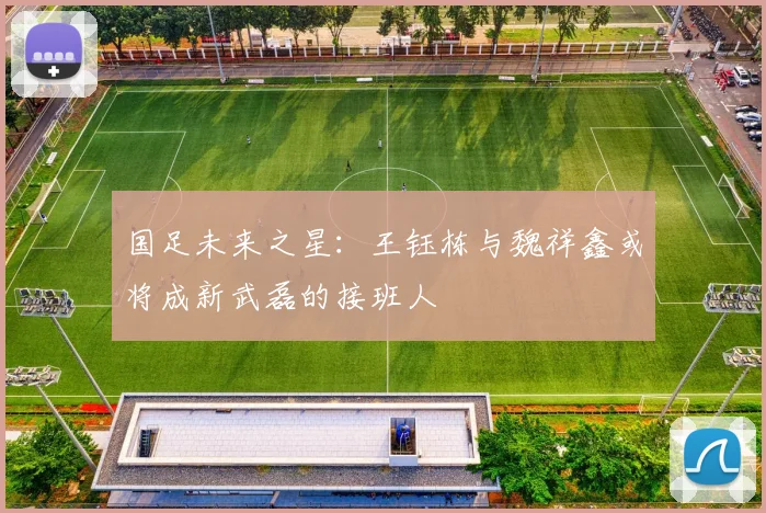 国足未来之星：王钰栋与魏祥鑫或将成新武磊的接班人